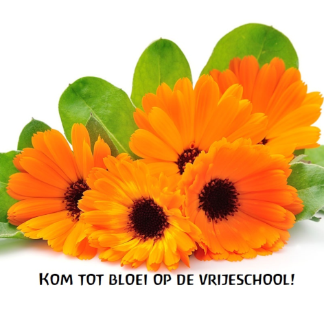 OPEN DAG 8 FEBRUARI VAN 10:00 TOT 14:00 UUR OPEN DAG 8 FEBRUARI VAN 10:00 TOT 14:00 UUR